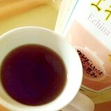 風邪を引いたと思ったら　　生姜黒糖のエキナセア茶